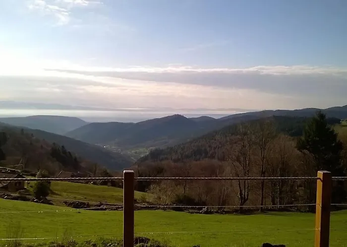 Un Coin De Montagne
