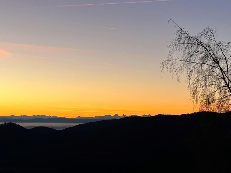 Un Coin De Montagne Linthal