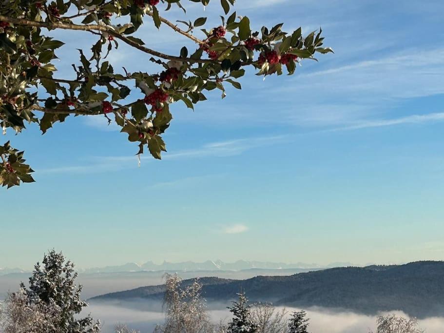Un Coin De Montagne Appartement