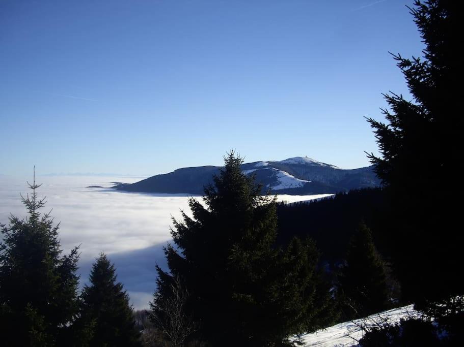 Un Coin De Montagne * Linthal