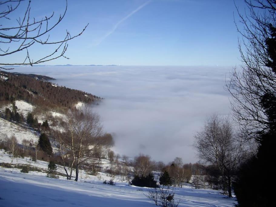 Appartement Un Coin De Montagne Linthal
