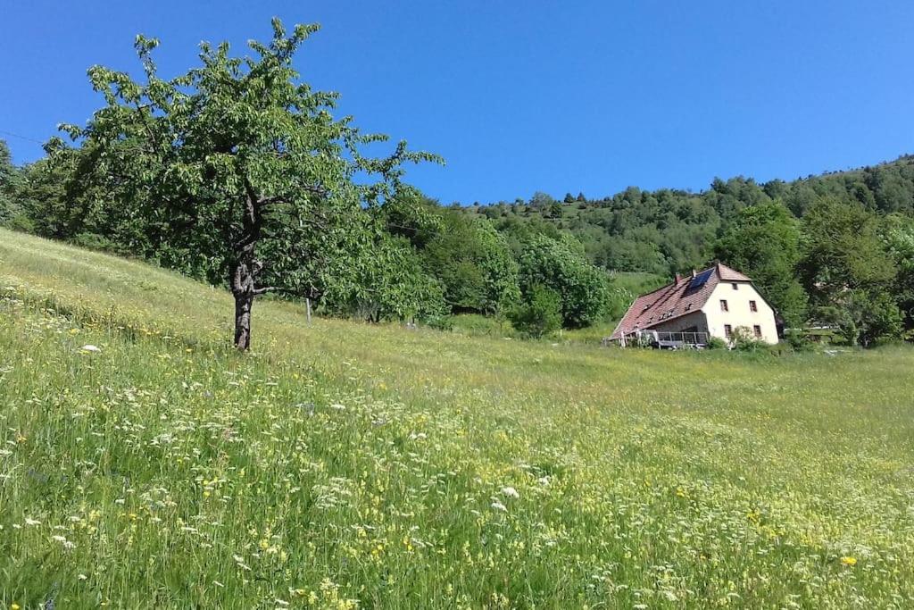 Un Coin De Montagne * Linthal